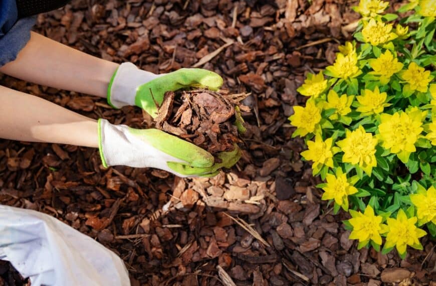 Oppdag fordelene med mulching om sommeren!